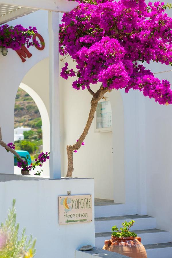 Morpheas Pension Rooms & Apartments Kamares  Exterior foto